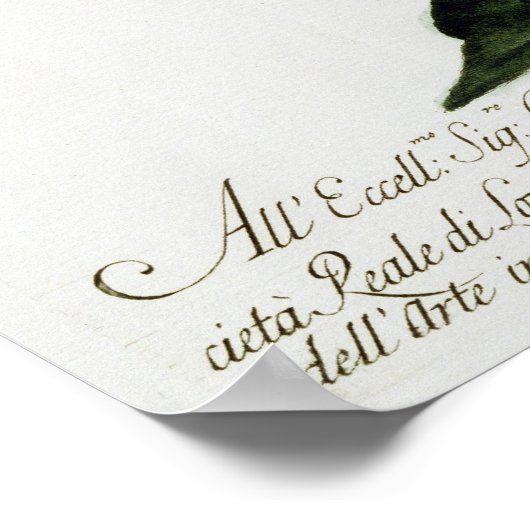 Snipe, c.1767-76 (handfarbene Gravur) Poster (Ecke)