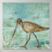 Snipe Coastal Shorebird Beach Art Print Poster (Vorne)