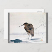 Snipe, Watanabe Seitei Postkarte (Vorne/Hinten)