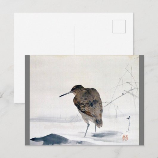 Snipe, Watanabe Seitei Postkarte (Vorne/Hinten)