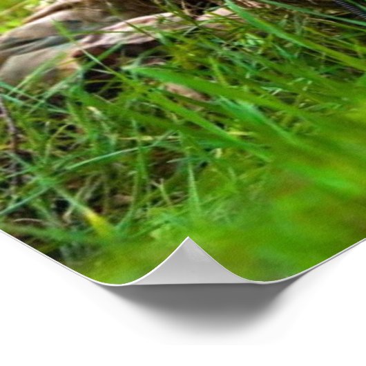 Sniper Training Poster (Ecke)