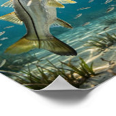 Snook Fisch Kunst Poster (Ecke)