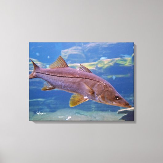 Snook Fish Canvas Print Leinwanddruck (Vorderseite)