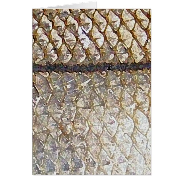 Snook - Karte (Vorne)