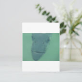 Snook Postkarte (Stehend Vorderseite)