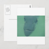 Snook Postkarte (Vorne/Hinten)