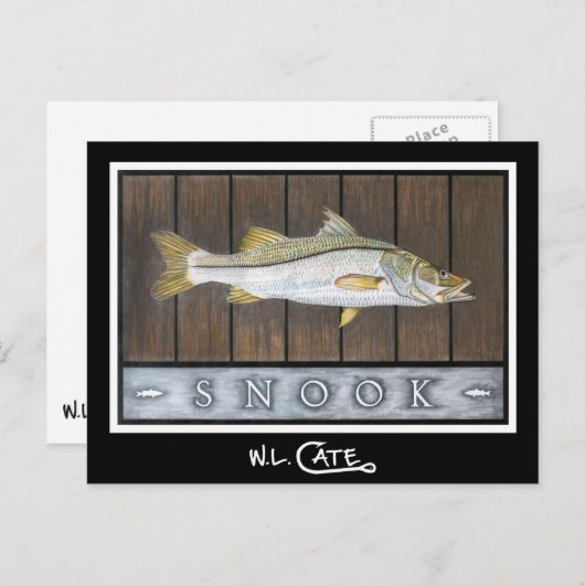 Snook Postkarten (Vorne/Hinten)