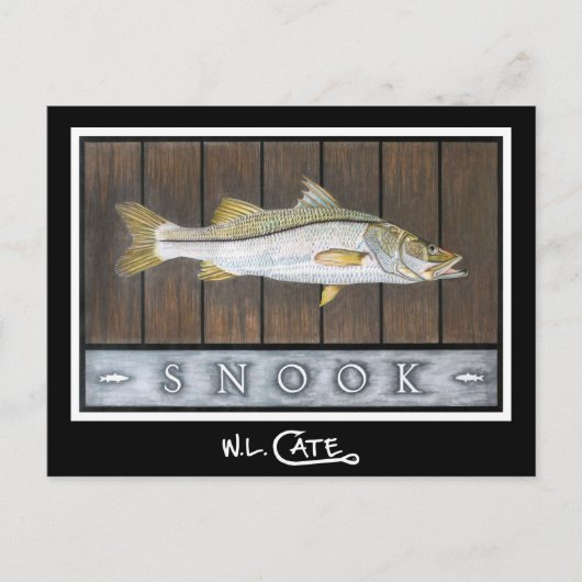 Snook Postkarten (Vorderseite)