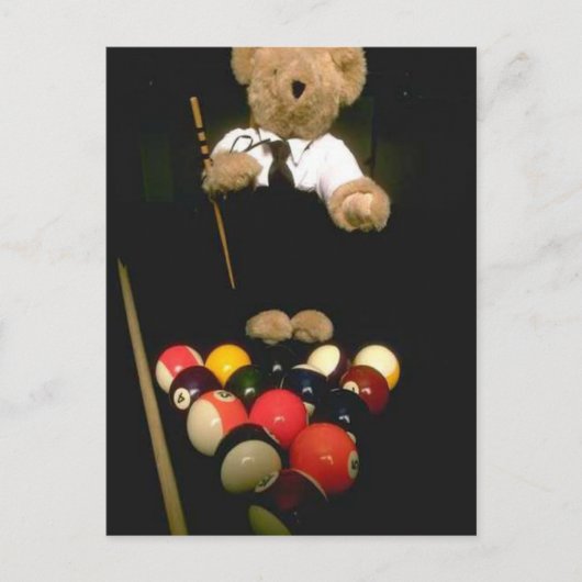 Snookerbär Postkarte (Vorderseite)