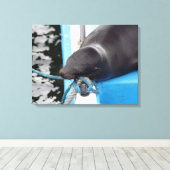 Snoooding Galapagos Sea Lion Leinwanddruck (Insitu (Holzboden))