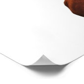 SNOOP DOGG IST EIN BOSS UND LOGO POSTER (Ecke)