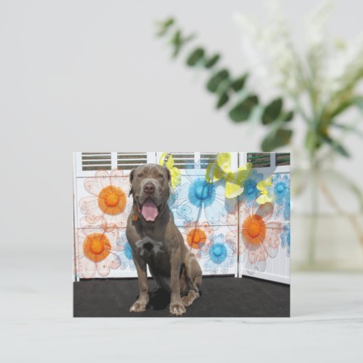 Snoop - Neopolitan Mastiff -3 Postkarte (Stehend Vorderseite)