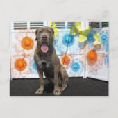 Snoop - Neopolitan Mastiff -3 Postkarte (Vorderseite)