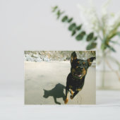 Snoop Postkarte (Stehend Vorderseite)