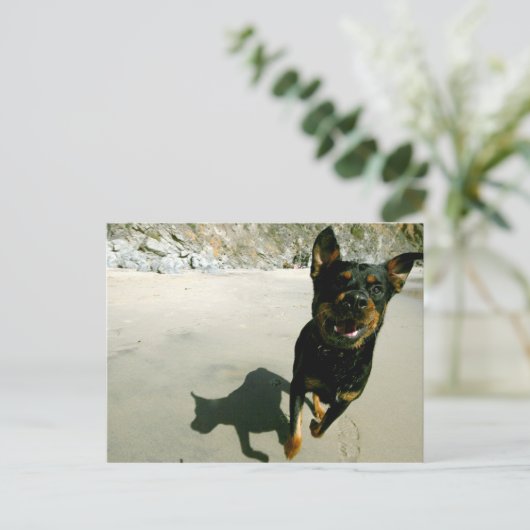 Snoop Postkarte (Stehend Vorderseite)