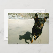 Snoop Postkarte (Vorne/Hinten)