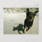 Snoop Postkarte (Vorderseite)