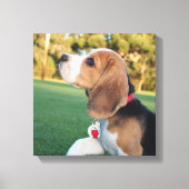 Snoopy Beagle Leinwand (Vorderseite)
