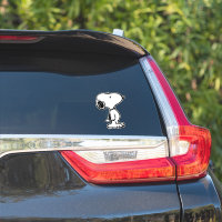 Snoopy Classic Comic