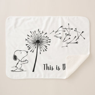 Snoopy mit Kronleuchter Sherpadecke