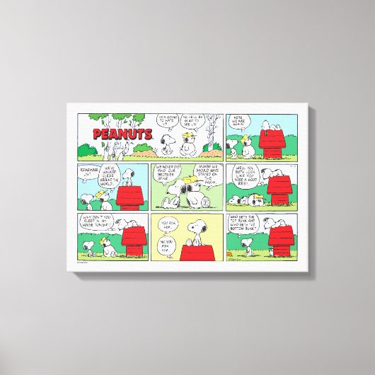 Snoopy & Seine Brüder Andy & Olaf Leinwanddruck (Vorderseite)