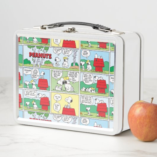 Snoopy & Seine Brüder Andy & Olaf Metall Brotdose (Beispiel)