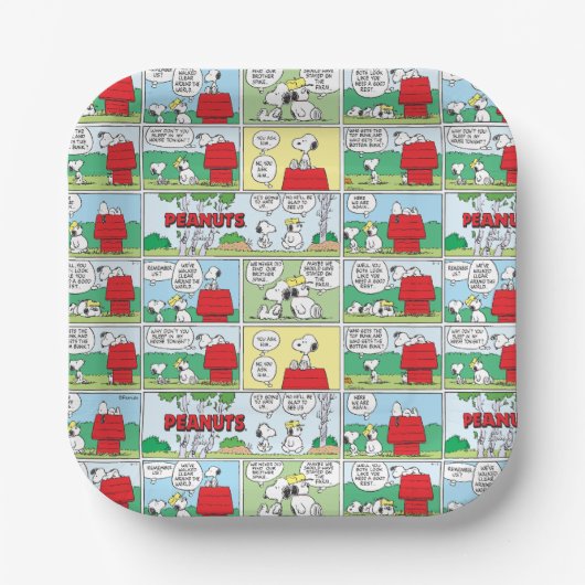 Snoopy & Seine Brüder Andy & Olaf Pappteller (Vorderseite)