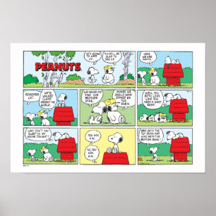 Snoopy & seine Brüder Andy & Olaf Poster