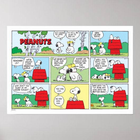 Snoopy & Seine Brüder Andy & Olaf Poster (Vorne)