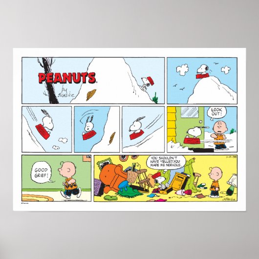 Snoopy Sled Riding Food Disc Poster (Vorne)