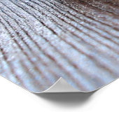 Snoose Poster (Ecke)