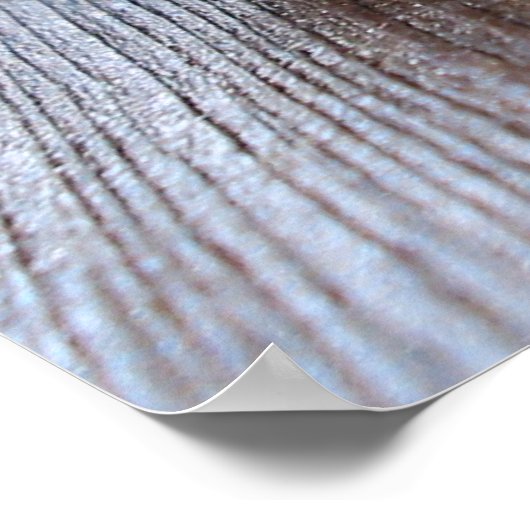 Snoose Poster (Ecke)