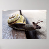 Snoose Poster (Vorne)