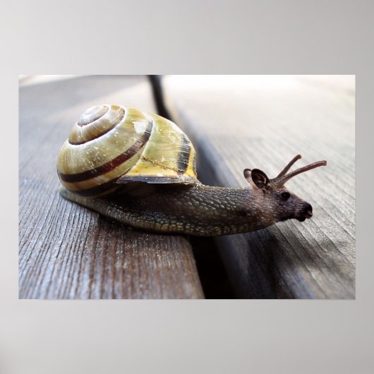 Snoose Poster (Vorne)