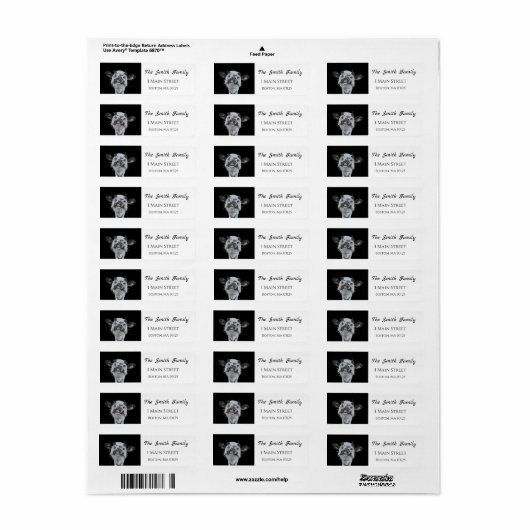 Snoot Boop, Animal Return Address (Vorne)