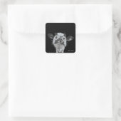 Snoot Boop, Tier Quadratischer Aufkleber (Tasche)