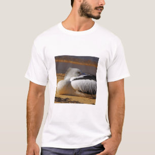 Snooze T-Shirt