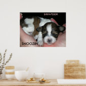 SNOOZIN', 2 WOCHEN SCHIH-POO, S... POSTER (Küche)