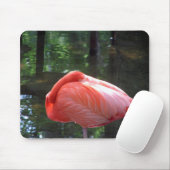 Snoozing Flamingo Mousepad (Mit Mouse)