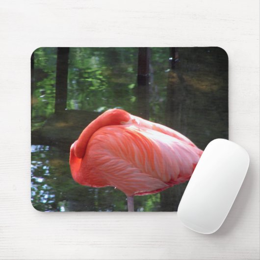 Snoozing Flamingo Mousepad (Mit Mouse)