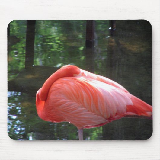 Snoozing Flamingo Mousepad (Vorne)