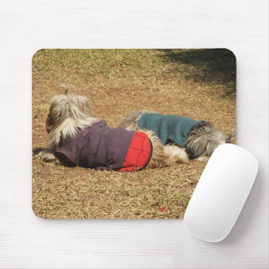 Snoozing in Nong Khai Mousepad (Mit Mouse)