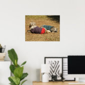 Snoozing in Nong Khai Poster (Heimbüro)