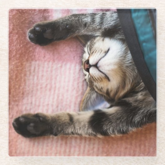 Snoozing Kätzchen Glasuntersetzer (Vorderseite)