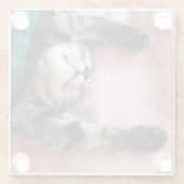 Snoozing Kätzchen Glasuntersetzer (Rückseite)