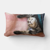 Snoozing Kätzchen Lendenkissen (Vorderseite)