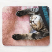 Snoozing Kätzchen Mousepad (Vorne)