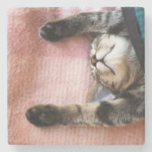 Snoozing Kätzchen Steinuntersetzer (Vorderseite)