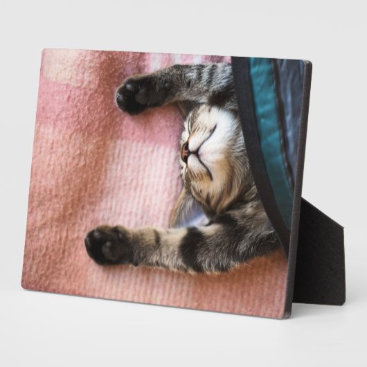 Snoozing Kitten Fotoplatte (Seite)