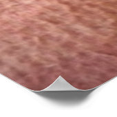 Snoozing Kitten Poster (Ecke)